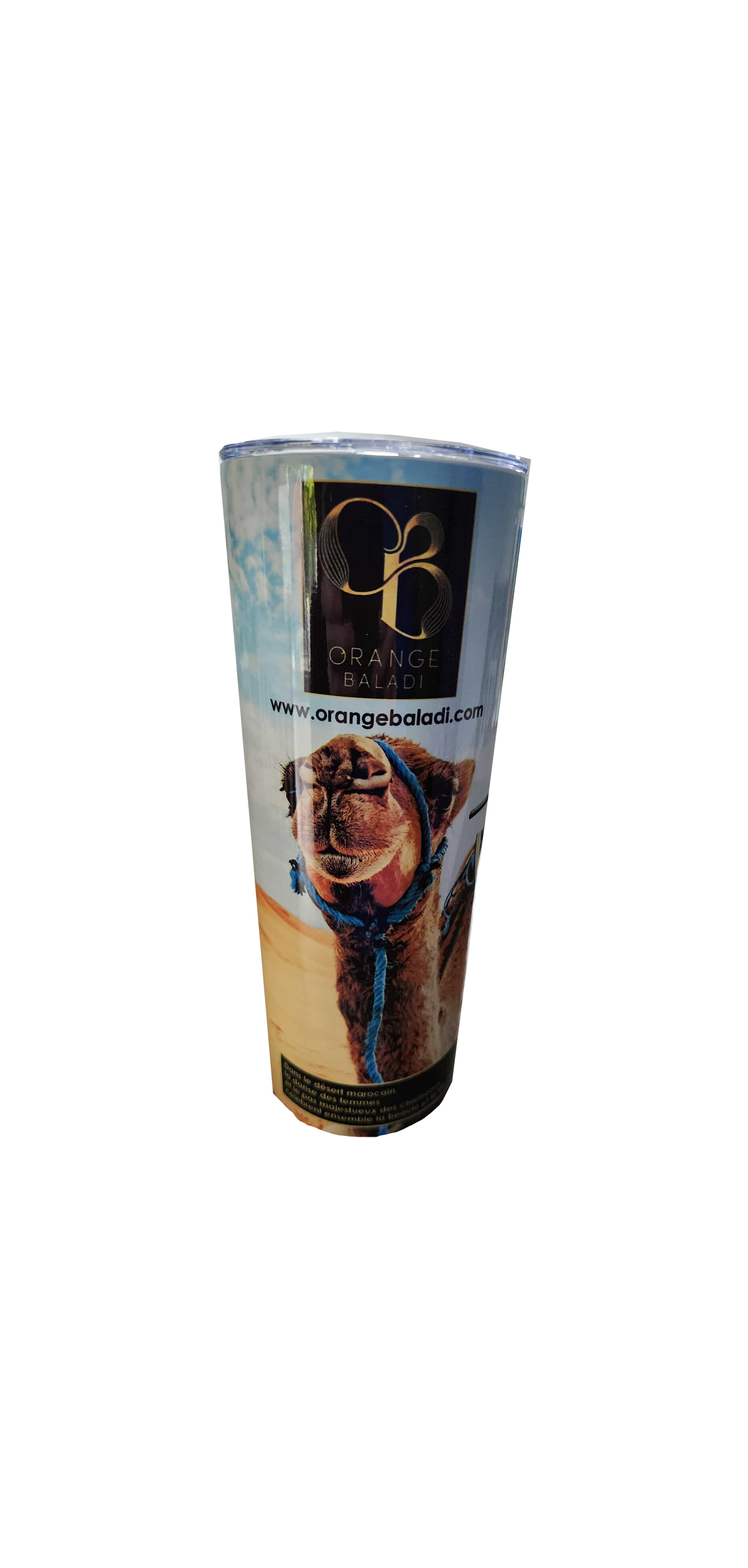 Flyers Skylink Design